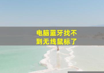 电脑蓝牙找不到无线鼠标了