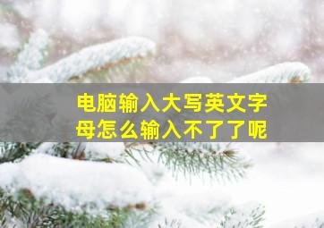 电脑输入大写英文字母怎么输入不了了呢