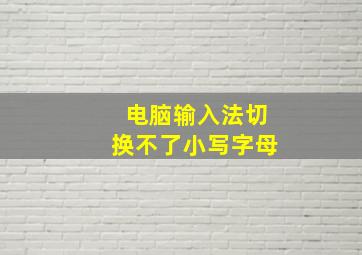 电脑输入法切换不了小写字母