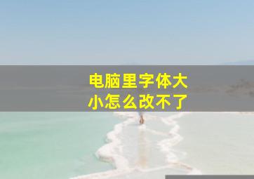 电脑里字体大小怎么改不了