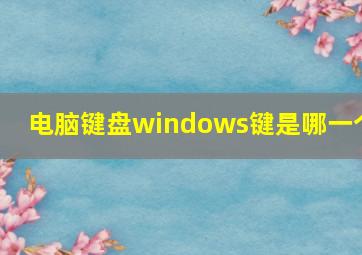 电脑键盘windows键是哪一个