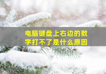 电脑键盘上右边的数字打不了是什么原因