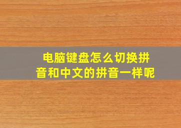 电脑键盘怎么切换拼音和中文的拼音一样呢