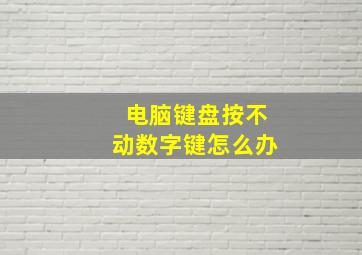 电脑键盘按不动数字键怎么办