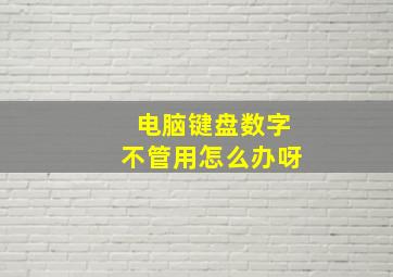 电脑键盘数字不管用怎么办呀