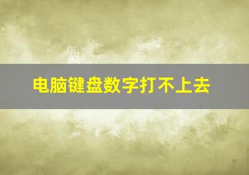 电脑键盘数字打不上去