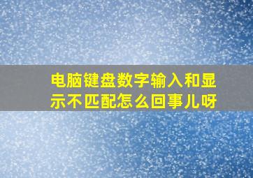 电脑键盘数字输入和显示不匹配怎么回事儿呀