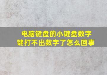 电脑键盘的小键盘数字键打不出数字了怎么回事