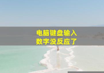 电脑键盘输入数字没反应了