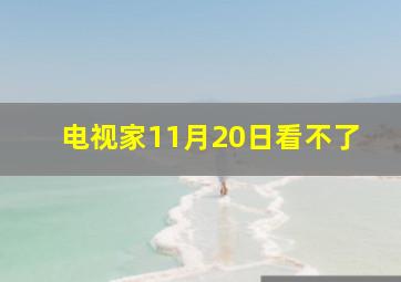 电视家11月20日看不了