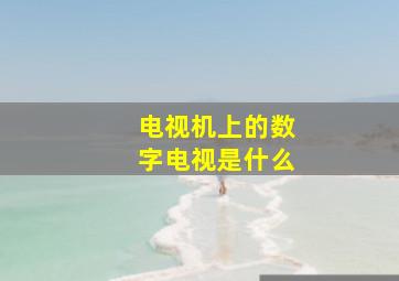 电视机上的数字电视是什么