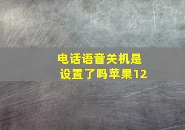 电话语音关机是设置了吗苹果12