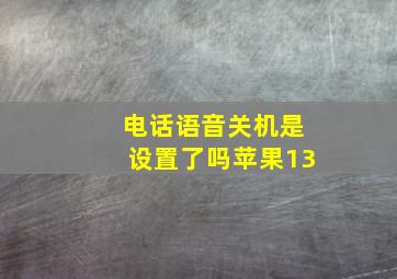 电话语音关机是设置了吗苹果13