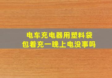 电车充电器用塑料袋包着充一晚上电没事吗