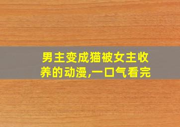 男主变成猫被女主收养的动漫,一口气看完