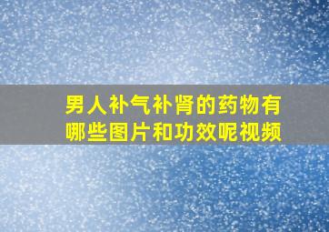 男人补气补肾的药物有哪些图片和功效呢视频