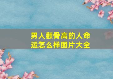 男人颧骨高的人命运怎么样图片大全