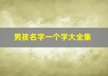 男孩名字一个字大全集