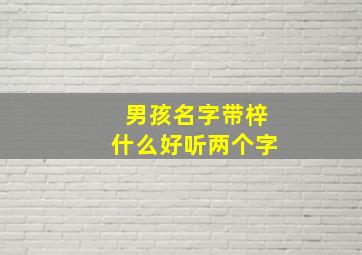 男孩名字带梓什么好听两个字