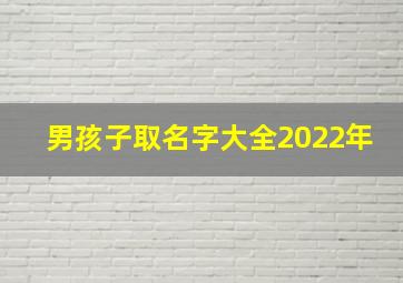 男孩子取名字大全2022年