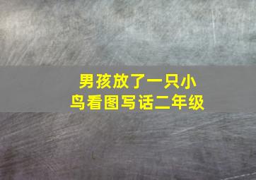 男孩放了一只小鸟看图写话二年级