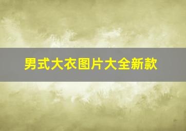 男式大衣图片大全新款