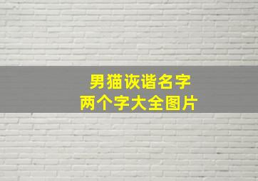 男猫诙谐名字两个字大全图片