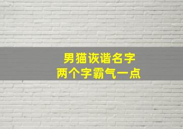 男猫诙谐名字两个字霸气一点