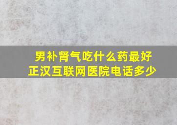 男补肾气吃什么药最好正汉互联网医院电话多少