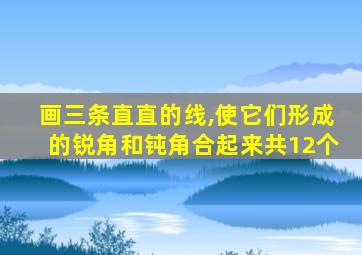 画三条直直的线,使它们形成的锐角和钝角合起来共12个