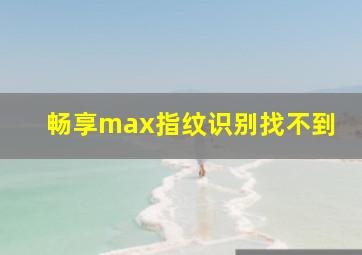 畅享max指纹识别找不到