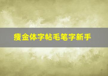 瘦金体字帖毛笔字新手