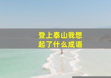 登上泰山我想起了什么成语