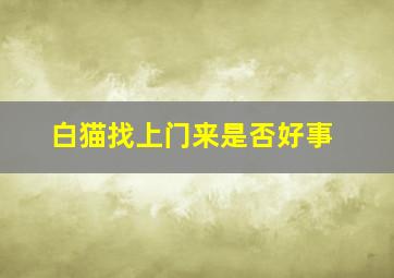 白猫找上门来是否好事