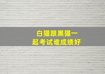 白猫跟黑猫一起考试谁成绩好