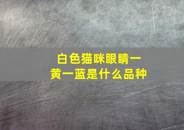 白色猫咪眼睛一黄一蓝是什么品种