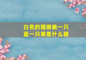 白色的猫眼睛一只蓝一只黄是什么猫