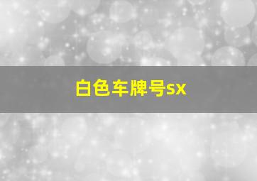 白色车牌号sx