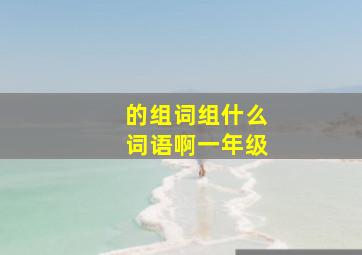 的组词组什么词语啊一年级