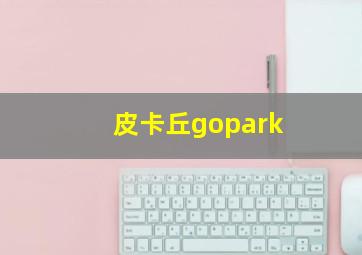 皮卡丘gopark