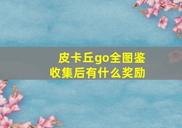 皮卡丘go全图鉴收集后有什么奖励