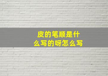 皮的笔顺是什么写的呀怎么写