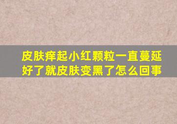 皮肤痒起小红颗粒一直蔓延好了就皮肤变黑了怎么回事