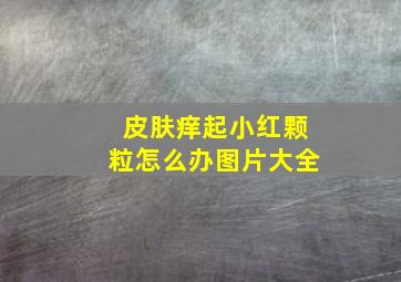 皮肤痒起小红颗粒怎么办图片大全