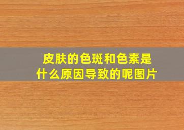 皮肤的色斑和色素是什么原因导致的呢图片