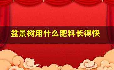 盆景树用什么肥料长得快