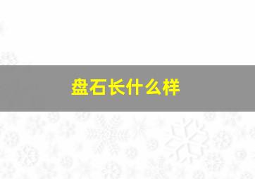 盘石长什么样