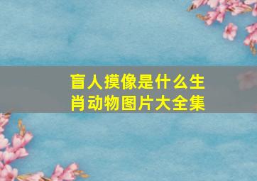 盲人摸像是什么生肖动物图片大全集