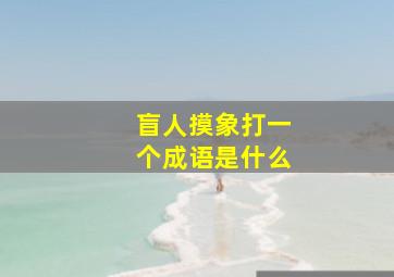 盲人摸象打一个成语是什么