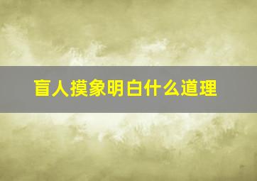 盲人摸象明白什么道理